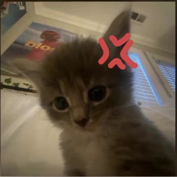 mahyi_234